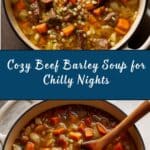 Beef Barley Soup Recipe