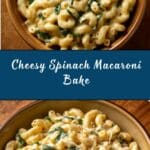 Spinach Macaroni and Cheese Recipe