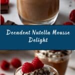 Two Ingredient Nutella Mousse Recipe