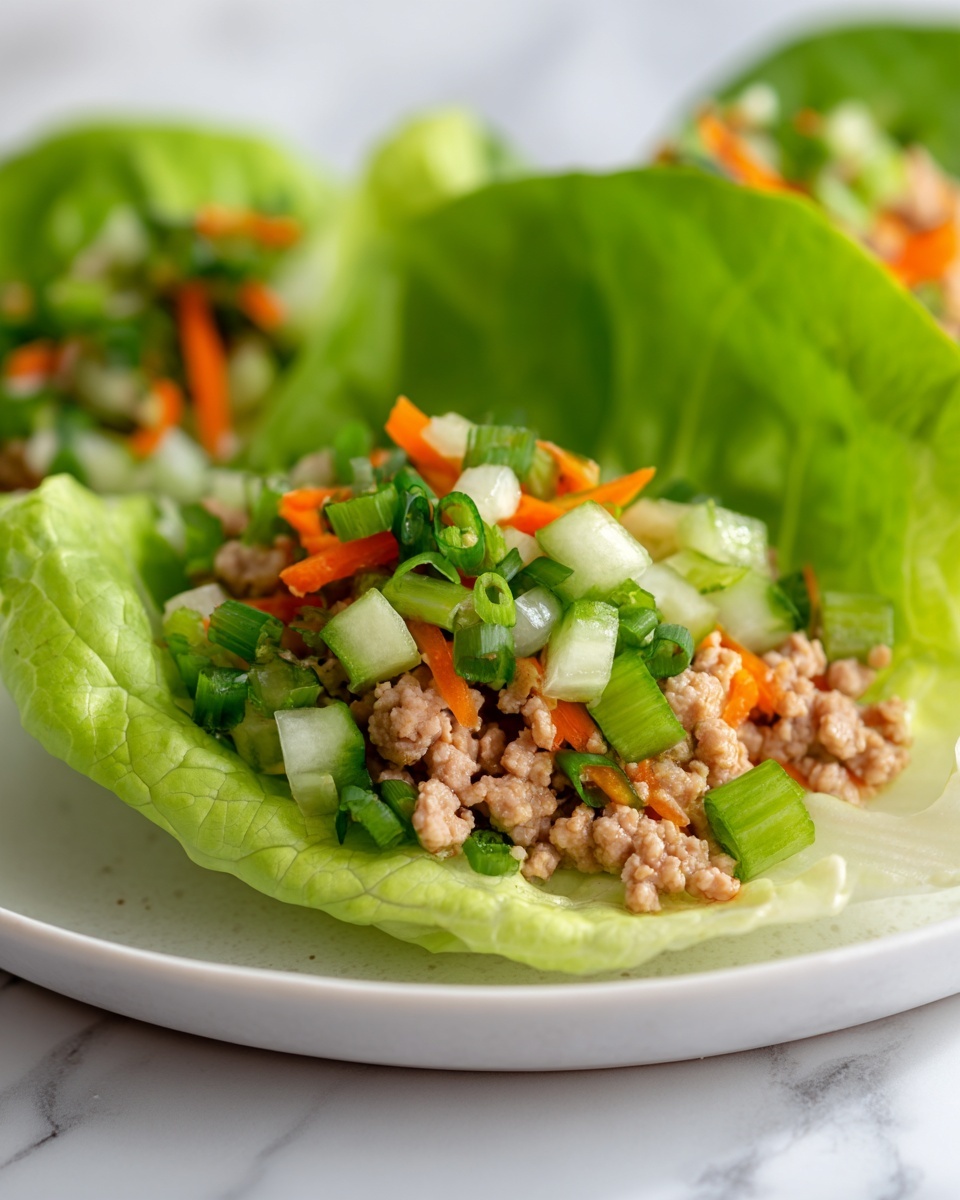 Turkey Lettuce Wraps Recipe - Recipe Image