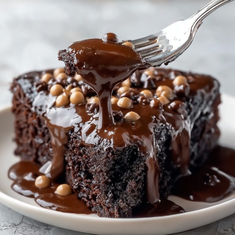 Slow Cooker Double Chocolate Peanut Butter Pudding Cake Recipe