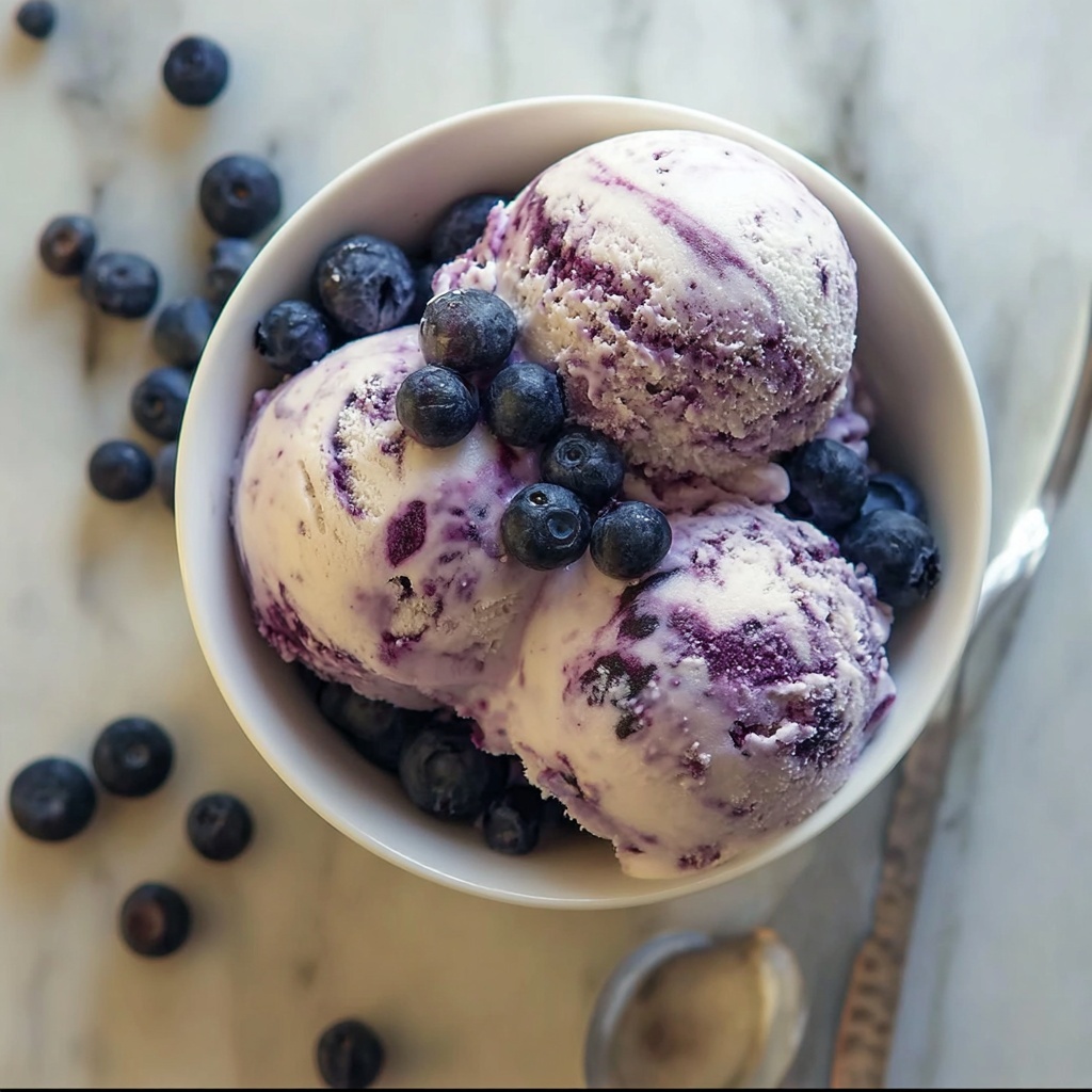 Blueberry Greek Frozen Yogurt Recipe - Recipe Image
